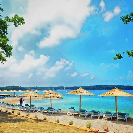 Robinson House In Vrvari With Balcony, Air Conditioning, Wifi, Dishwasher 5195-2 Porec